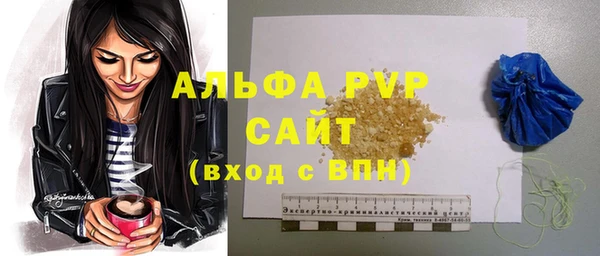 ПСИЛОЦИБИНОВЫЕ ГРИБЫ Белокуриха