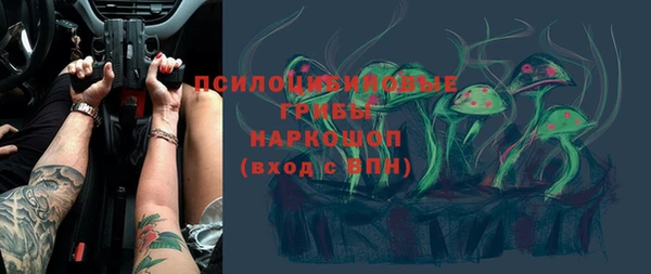 крисы Белоозёрский