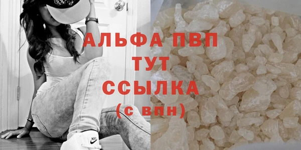 ПСИЛОЦИБИНОВЫЕ ГРИБЫ Белокуриха