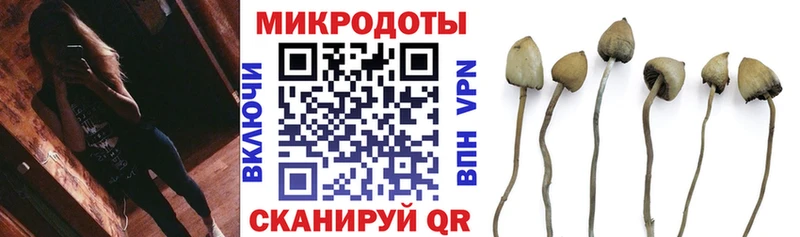 Галлюциногенные грибы ЛСД  хочу   Верхний Тагил 